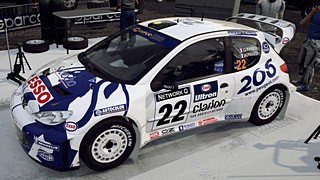 Peugeot 206 WRC Panizzi livery