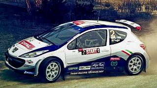 TOTAL Peugeot 207 skin for DiRT 3